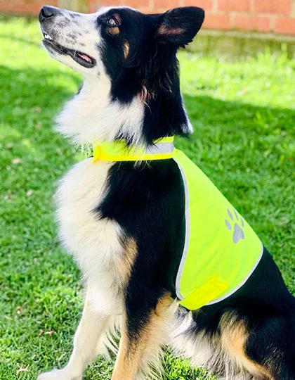 Stretchy Hi-Vis Safety Vest For Dogs Buenos Aires KX104