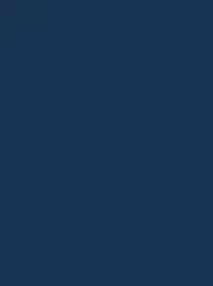 1742 Light Navy