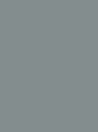 1918 Grey